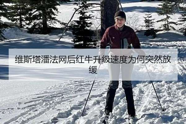 维斯塔潘法网后红牛升级速度为何突然放缓
